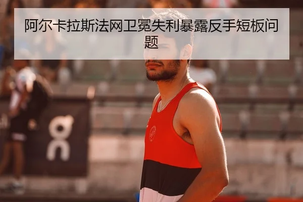 a-er-ka-la-si-fa-wang-wei-mian-shi-li-bao-lu-fan-shou-duan-ban-wen-ti-2-549.jpg