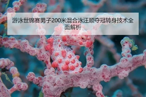 游泳世锦赛男子200米混合泳汪顺夺冠转身技术全面解析